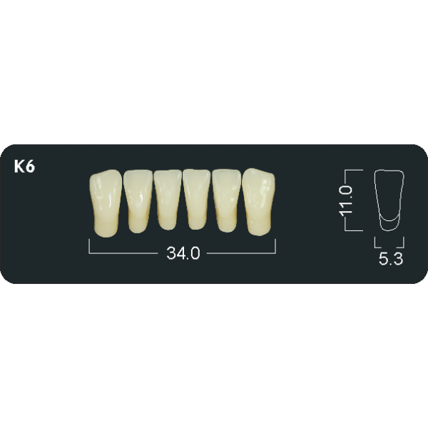 Dentura Acrylic Teeth - Anteriors Set of 6's Shades - A1 - Lower
