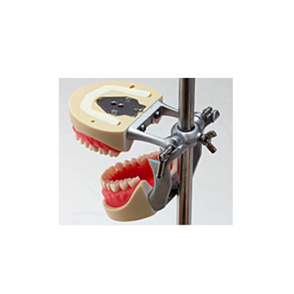Articulator for Nissin Jaw Model - Vijai Dental