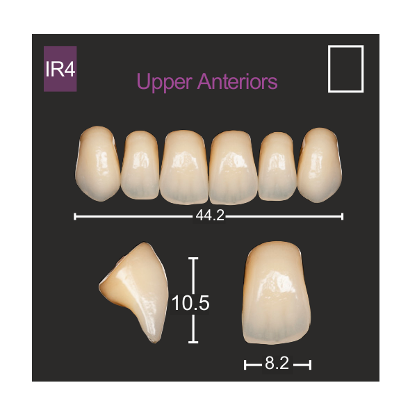 Enigmalife Teeth Set - A2 - Anteriors set of 6 - Upper - IR4