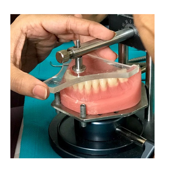 Occlusal Plane Guide Vijai Dental