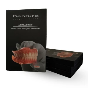その他 NISSIN DENTAL MODEL Nissin-Typodont-Study-Cavity-